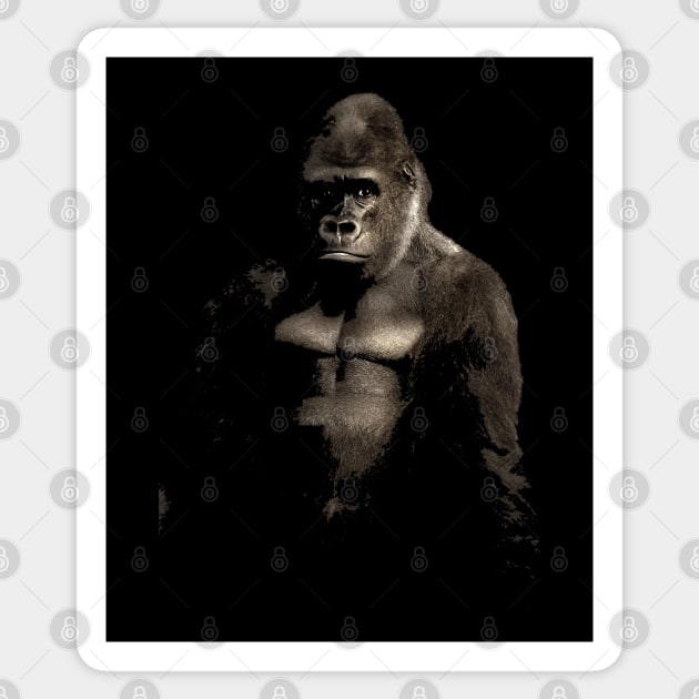 Silverback Gorilla Art Sticker by Webdango